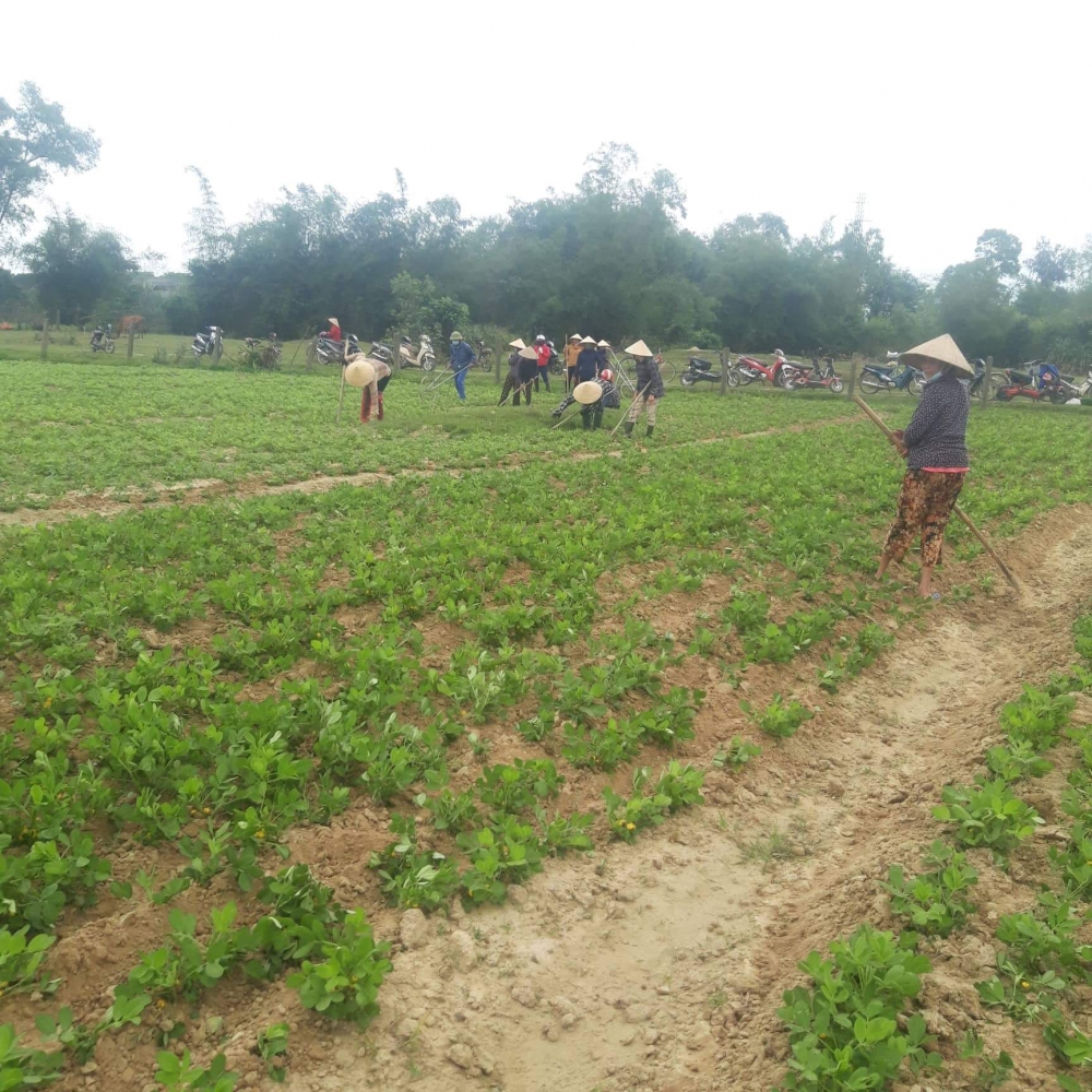 Việc làm có ý nghĩa, thể hiện được tinh thần đoàn kết “Tương thân, tương ái” và là nét đẹp trong cuộc sống của phụ nữ Việt Nam