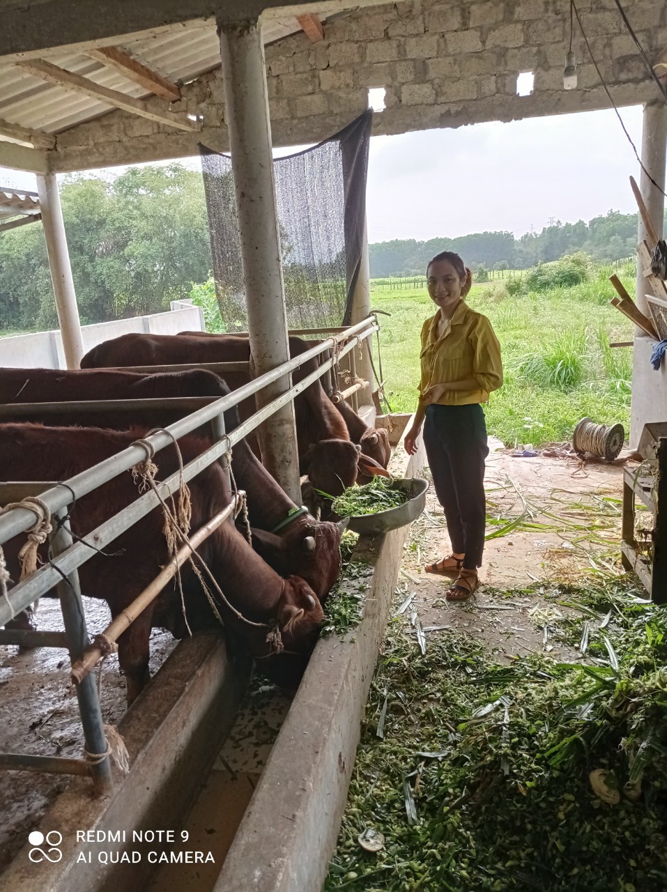 Các mô hình tiêu biểu trên địa bàn xã